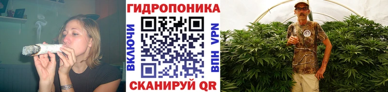 Бошки марихуана Ganja  hydra зеркало  Разумное 